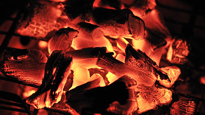 Charbon - charcoal burning (3106924114).jpg