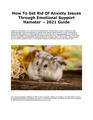 How To Get Rid Of Anxiety Issues Through Emotional Support Hamster - 2021 Guide.pdf