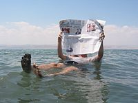 Lesen auf dem toten Meer