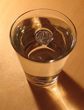 2006-01-15 coin on water.jpg